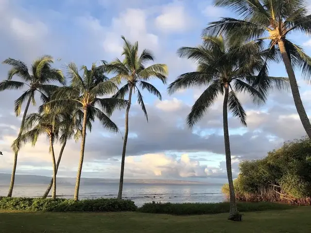 Listing Image for 7142 Kamehameha V Hwy A112 17 of 30