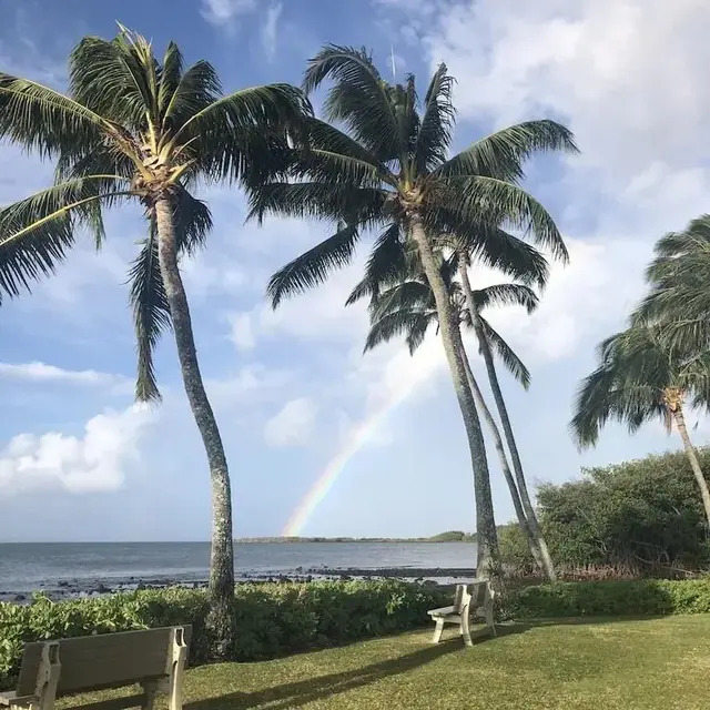 Listing Image for 7142 Kamehameha V Hwy A112 18 of 30