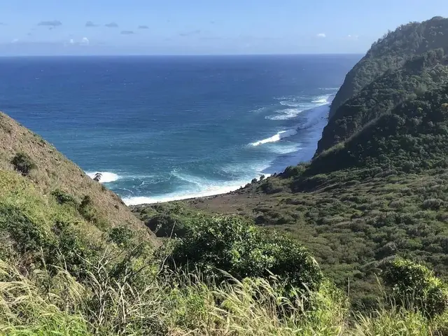 Listing Image for 7142 Kamehameha V Hwy A112 30 of 30