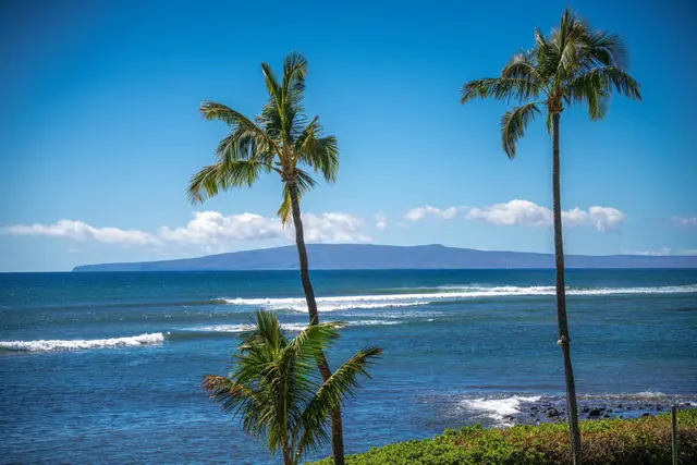 Listing Image for 190 Hauoli Rd 201 2 of 23