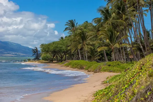 Listing Image for 811 S Kihei Rd Apt 5e 25 of 26