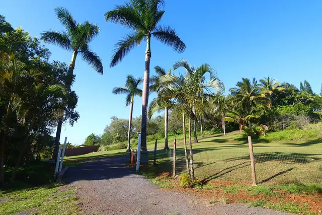 Listing Image for 14 Lower Ulumalu Rd 44 of 50