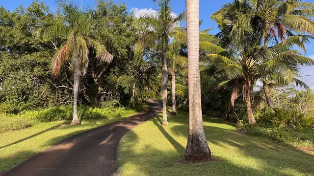 Listing Image for 14 Lower Ulumalu Rd 46 of 50