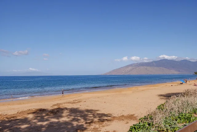 Listing Image for 2695 S Kihei Rd 8-104 30 of 44
