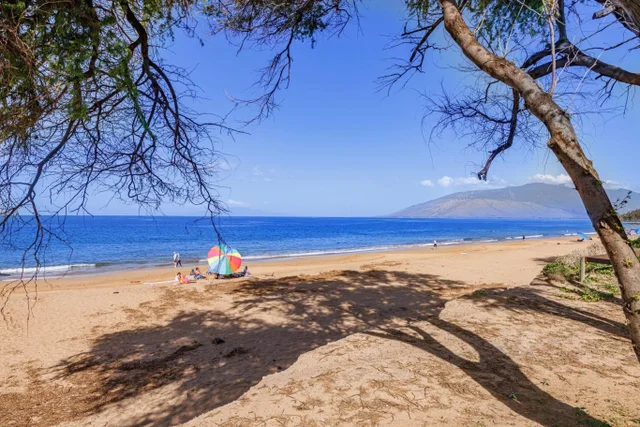 Listing Image for 2695 S Kihei Rd 8-104 31 of 44