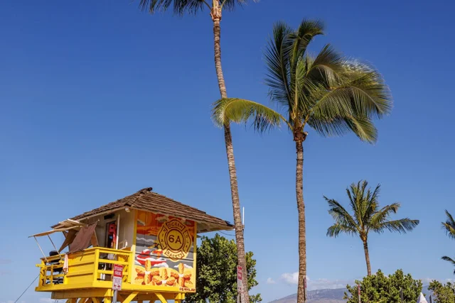 Listing Image for 2695 S Kihei Rd 8-104 32 of 44