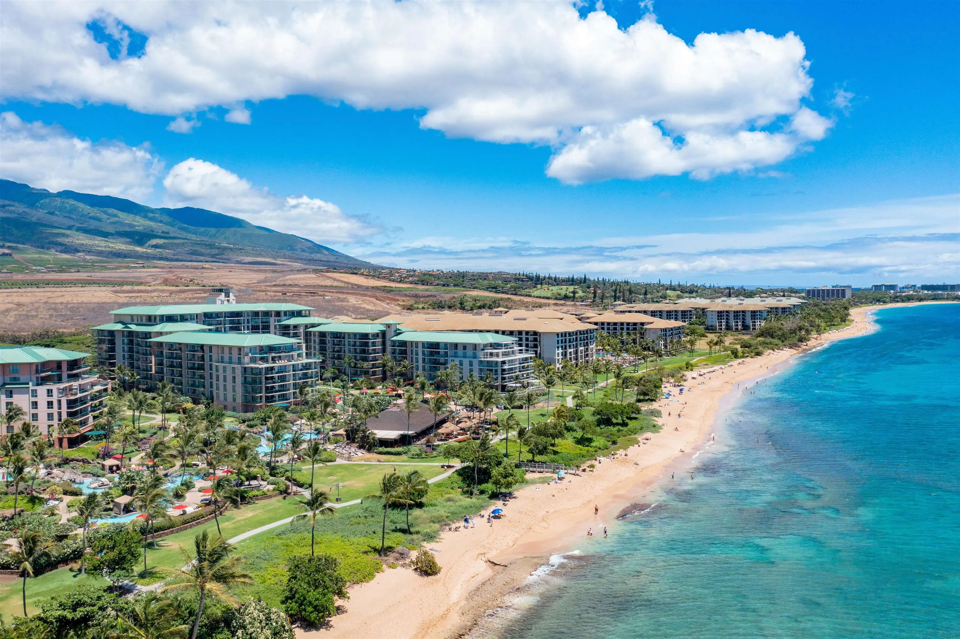 Photo of Listing #408069