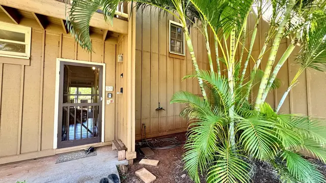 Listing Image for 100 Lio Pl Q3 22 of 36