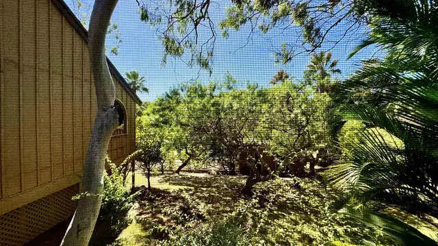 Listing Image for 100 Lio Pl Q3 23 of 36