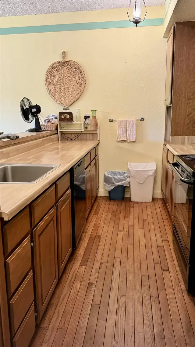 Listing Image for 100 Lio Pl Q3 8 of 36