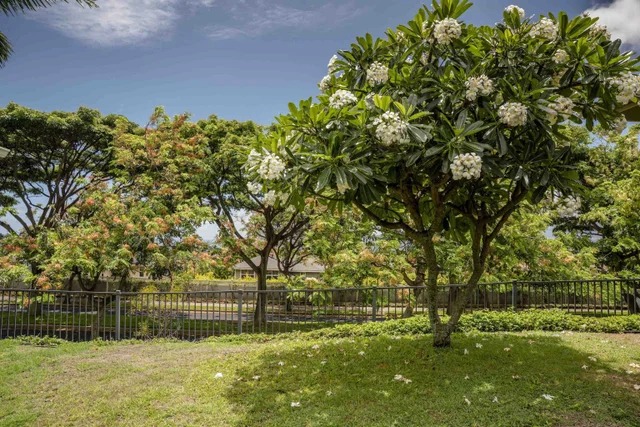 Listing Image for 119 Hoowaiwai Loop 906 26 of 32