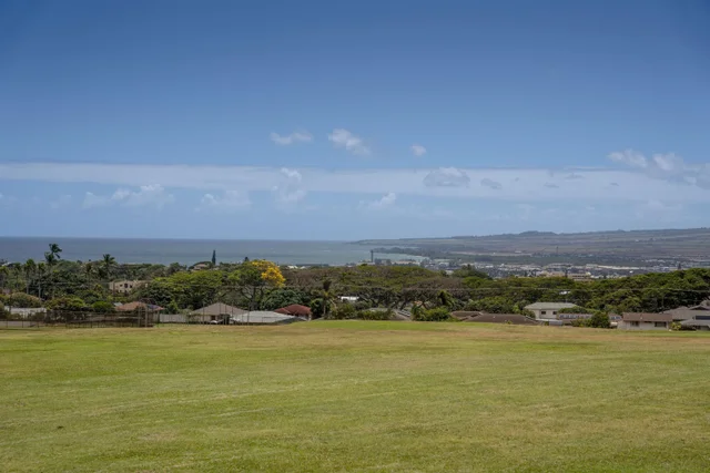 Listing Image for 119 Hoowaiwai Loop 906 29 of 32