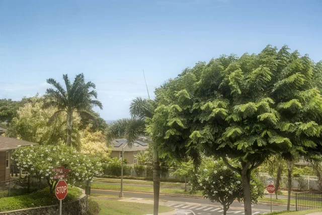 Listing Image for 119 Hoowaiwai Loop 906 31 of 32