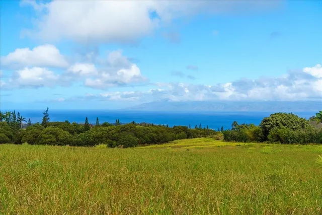 Listing Image for 214 Keoawa St 15 1 of 17