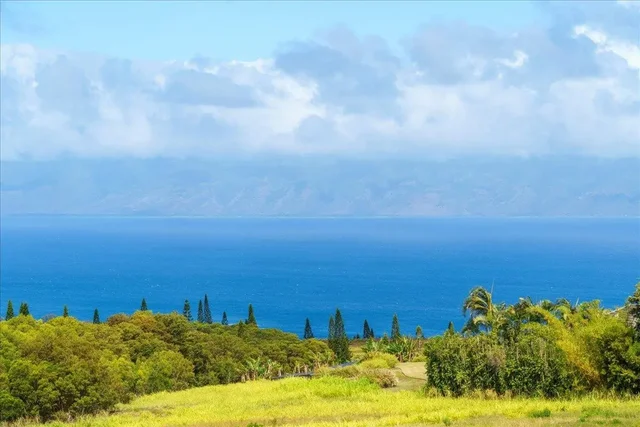 Listing Image for 214 Keoawa St 15 12 of 17