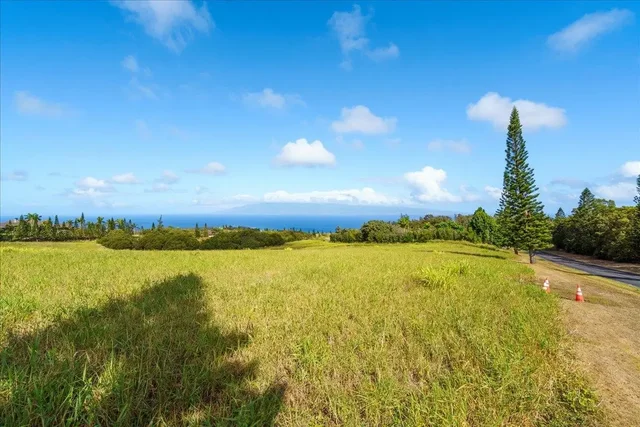 Listing Image for 214 Keoawa St 15 16 of 17