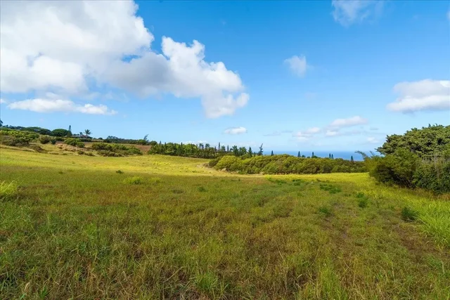 Listing Image for 214 Keoawa St 15 17 of 17