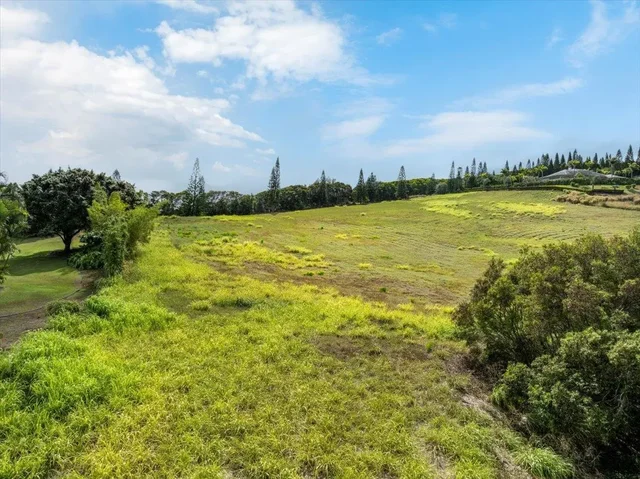 Listing Image for 214 Keoawa St 15 6 of 17