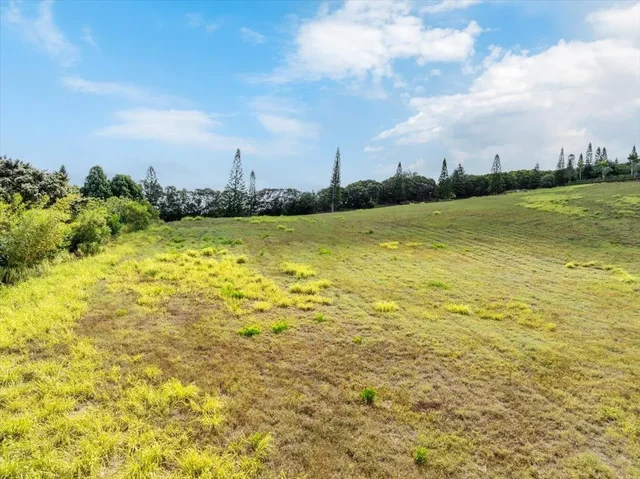 Listing Image for 214 Keoawa St 15 7 of 17