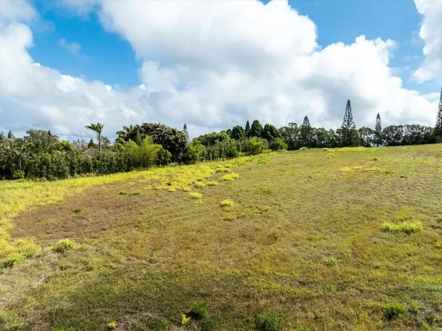 Listing Image for 214 Keoawa St 15 8 of 17