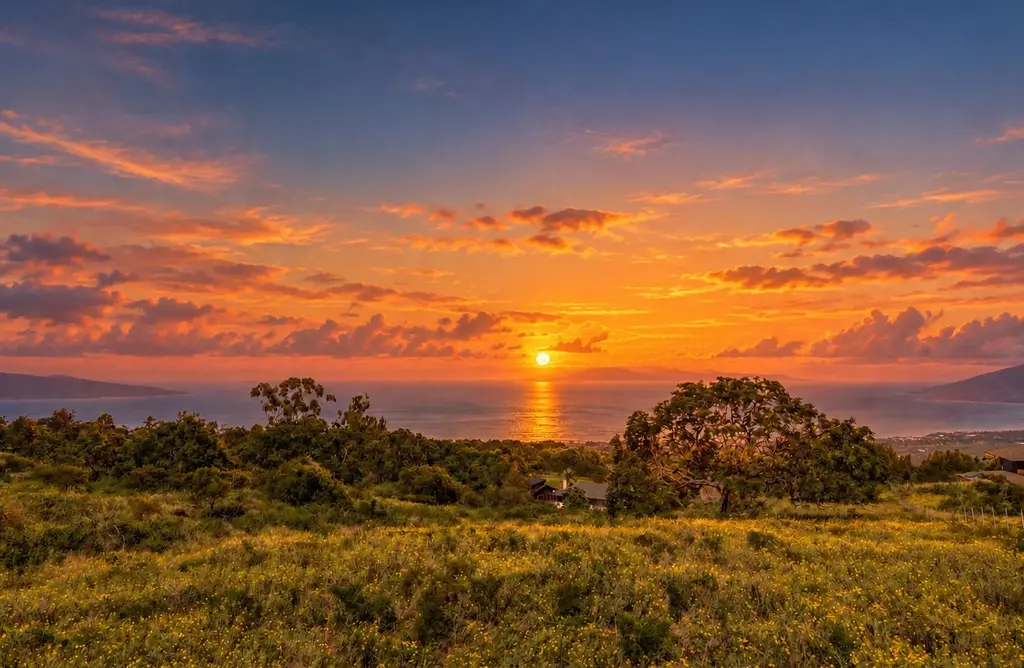 275 Kealakapu Rd, Kula/Ulupalakua/Kanaio
