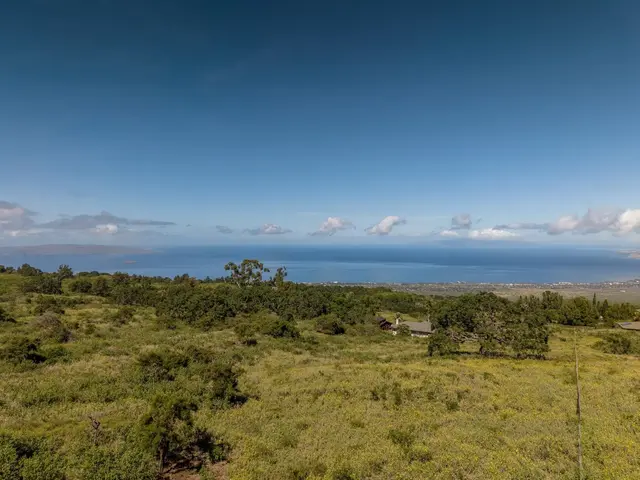 Listing Image for 275 Kealakapu Rd 10 of 28
