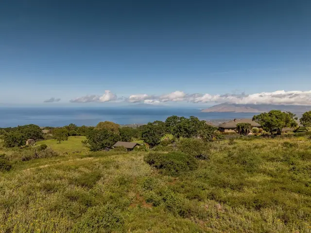 Listing Image for 275 Kealakapu Rd 16 of 28
