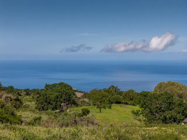 Listing Image for 275 Kealakapu Rd 18 of 28
