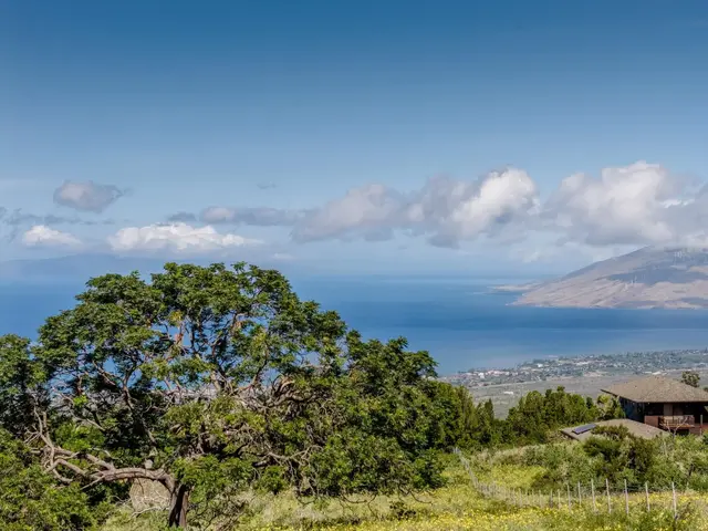 Listing Image for 275 Kealakapu Rd 19 of 28
