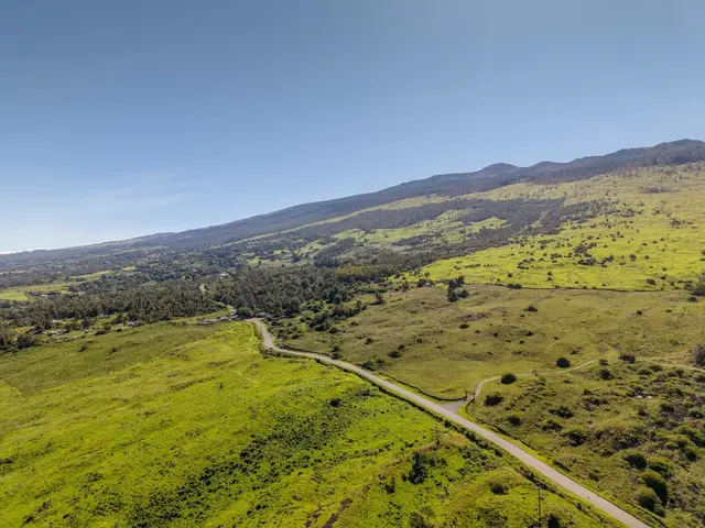 Listing Image for 275 Kealakapu Rd 20 of 28