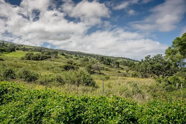 Listing Image for 275 Kealakapu Rd 21 of 28