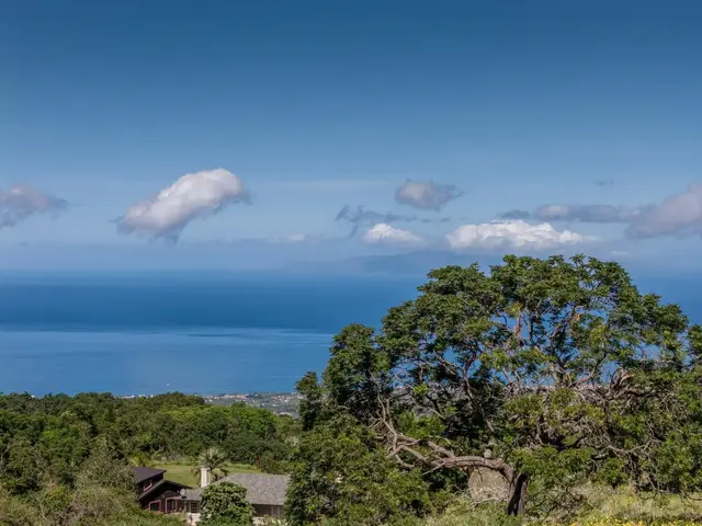 Listing Image for 275 Kealakapu Rd 22 of 28