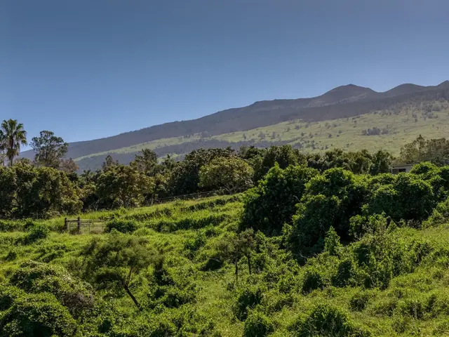 Listing Image for 275 Kealakapu Rd 23 of 28