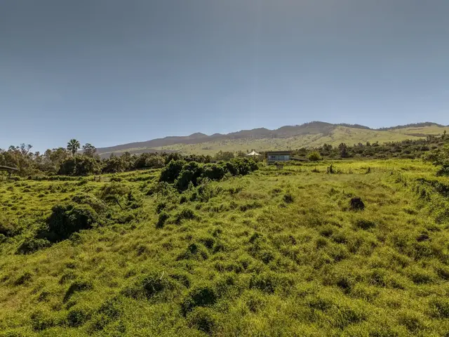 Listing Image for 275 Kealakapu Rd 3 of 28