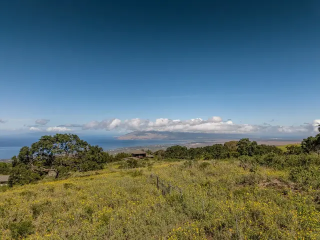 Listing Image for 275 Kealakapu Rd 8 of 28