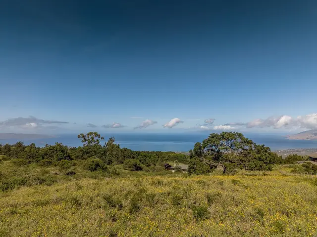 Listing Image for 275 Kealakapu Rd 9 of 28