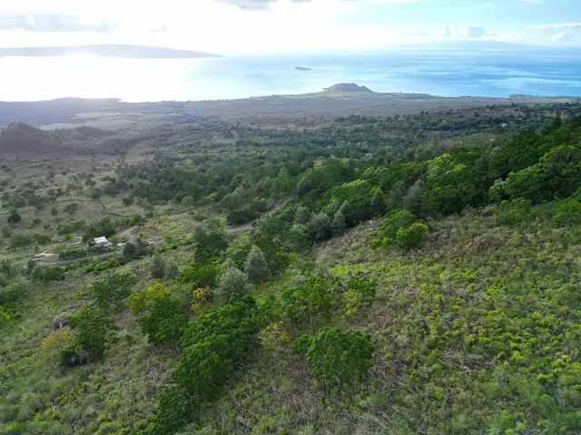 Listing Image for 0 Ulupalakua Rd 1 of 3