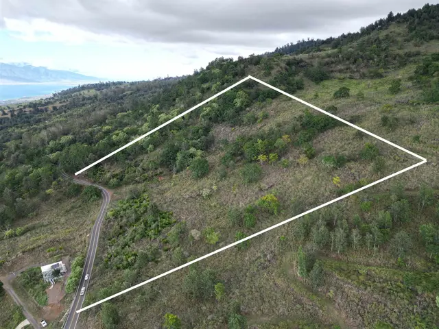 Listing Image for 0 Ulupalakua Rd 2 of 3