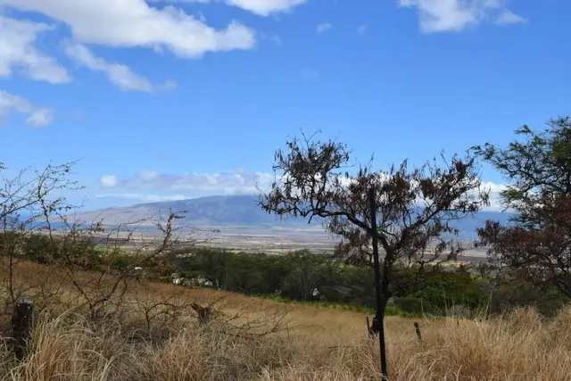 Listing Image for 0 Omaopio Rd 16 of 19