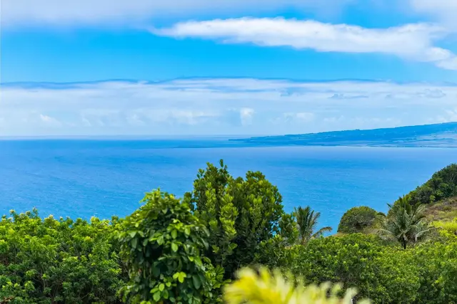 Listing Image for 445 Kaukini Loop 34 of 36
