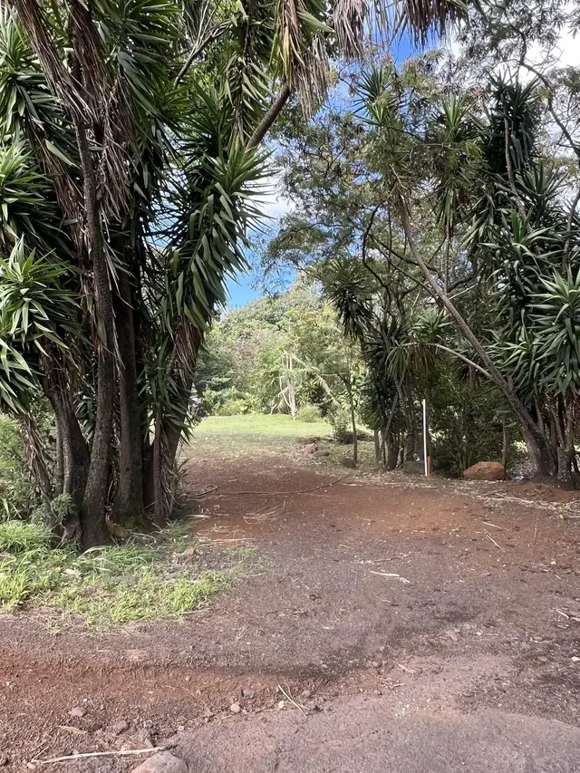 Listing Image for 50 Pauwela Rd Unit A 4 of 8