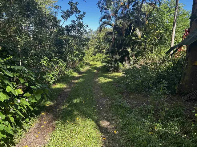 377 Ulaino Rd B, Hana, 400186 - 2/10