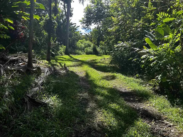 377 Ulaino Rd B, Hana, 400186 - 4/10