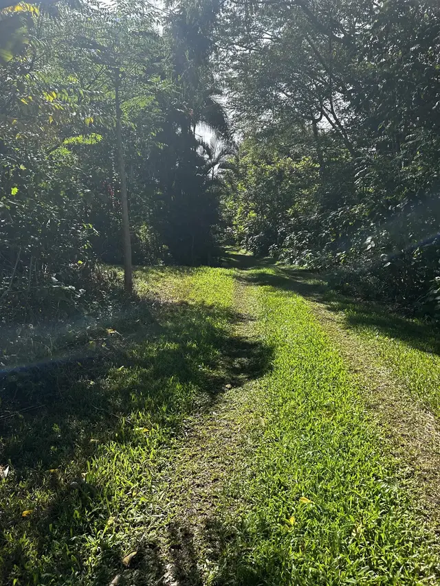 377 Ulaino Rd B, Hana, 400186 - 5/10