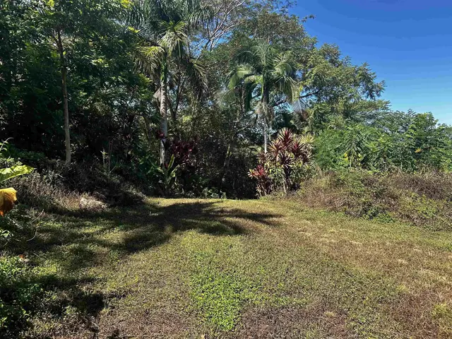 Listing Image for 377 Ulaino Rd B 6 of 10