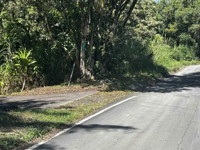 Listing Image for 377 Ulaino Rd B 9 of 10