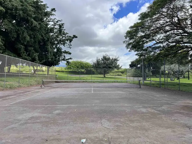 Listing Image for 953 Akaaka St 50 of 50