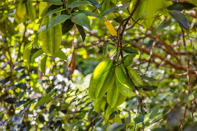 Listing Image for Pl 35 of 42