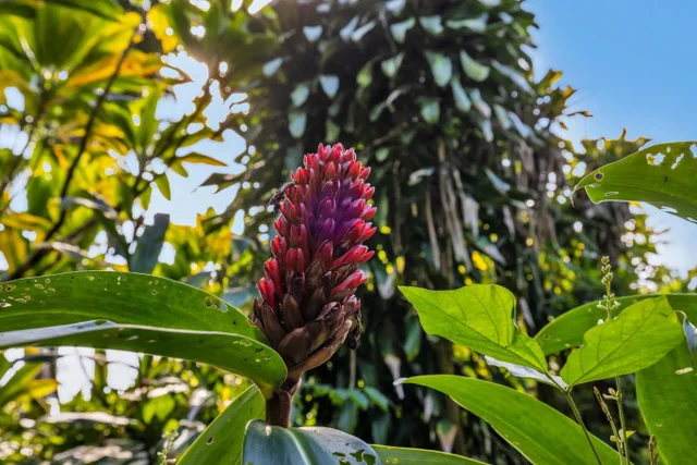 Listing Image for Pl 36 of 42