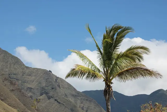 Listing Image for Kehalea Pl 11 21 of 42